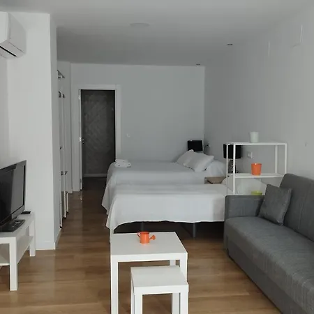 Y Estudios El Centro Apartment *
